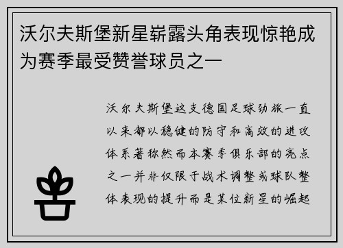 沃尔夫斯堡新星崭露头角表现惊艳成为赛季最受赞誉球员之一